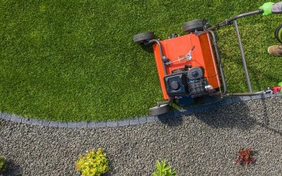 Should I aerate my lawn in the Spring?
