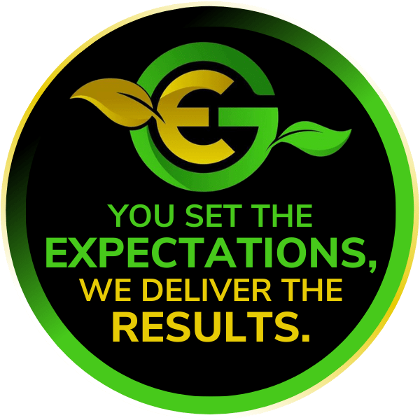You set the expectations we deliver the results graphic