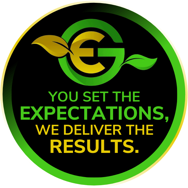 You set the expectations we deliver the results graphic